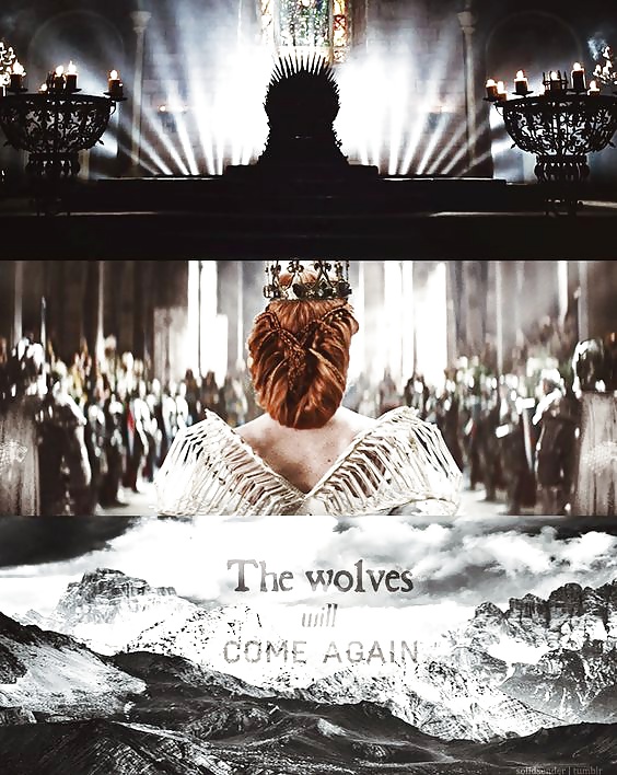 Sansa Stark Lady of Winterfell  13