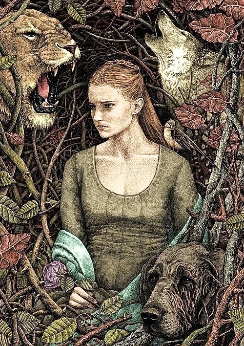 Sansa Stark Lady of Winterfell  1