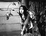 Nobuyoshi Araki 5